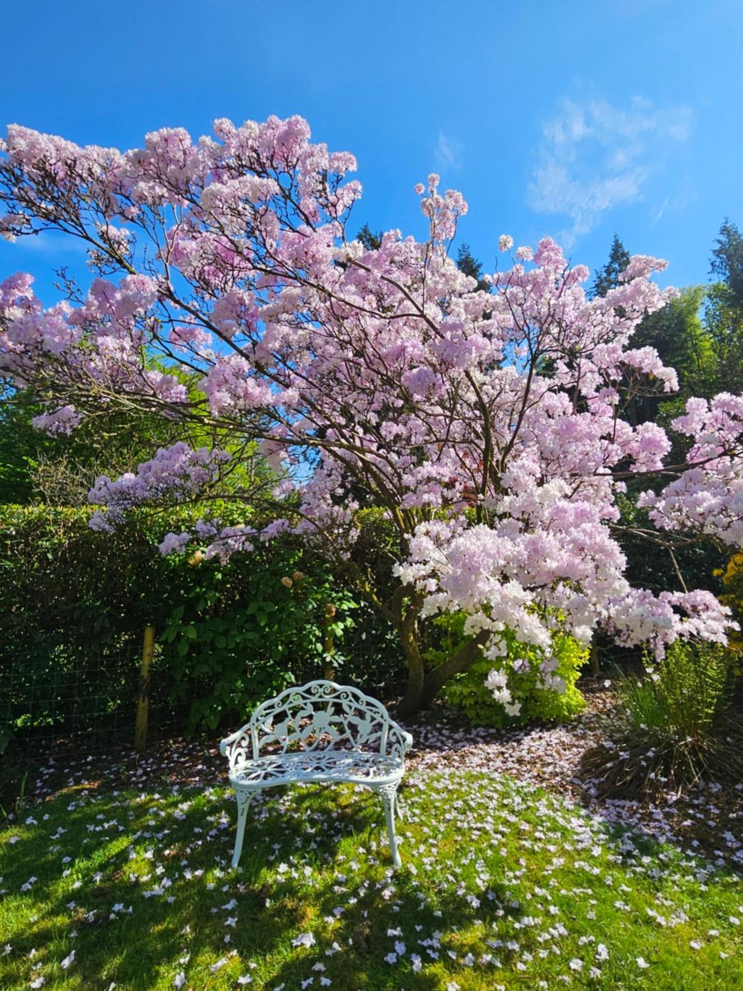 Foxghyll Country House Bed & Breakfast Ambleside Eksteriør bilde