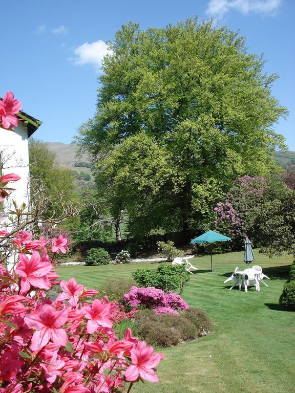 Foxghyll Country House Bed & Breakfast Ambleside Eksteriør bilde