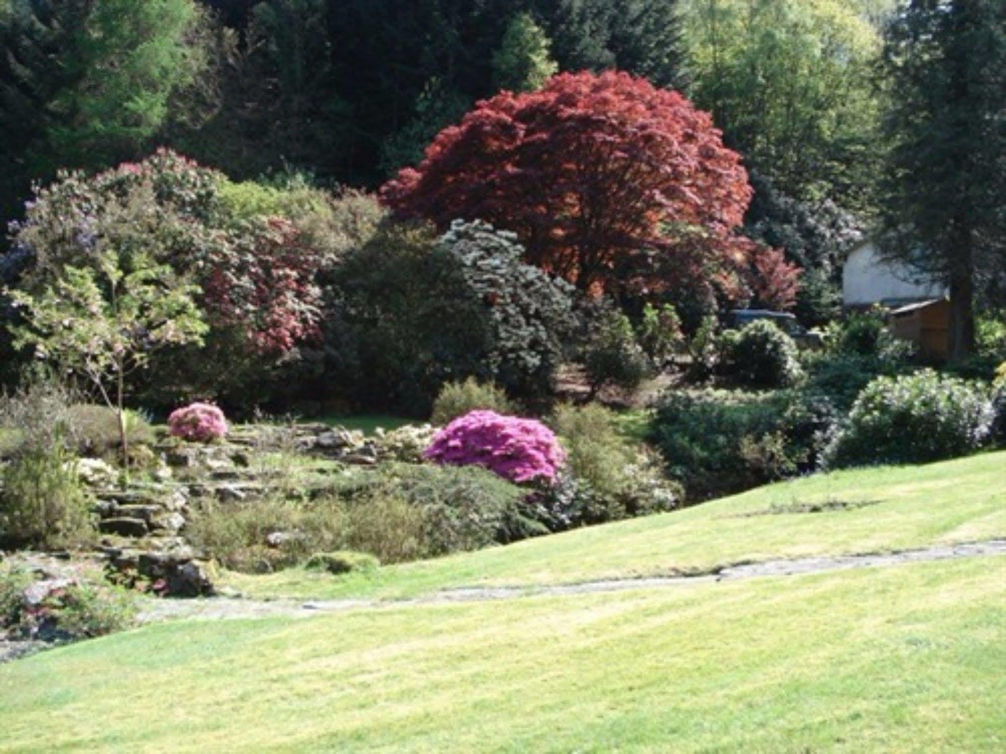 Foxghyll Country House Bed & Breakfast Ambleside Eksteriør bilde